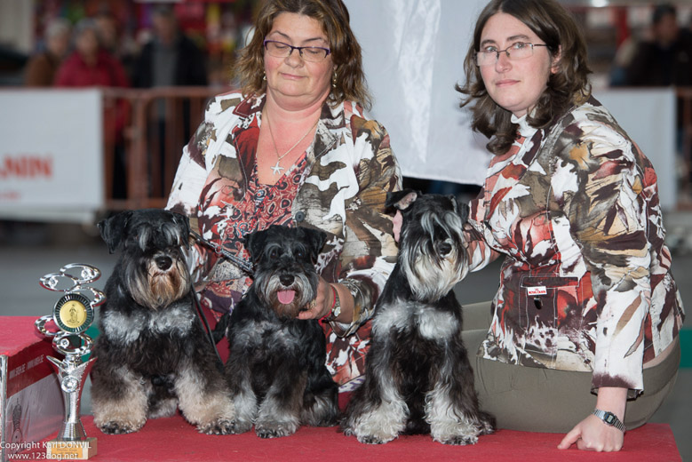 gal/Expo_janvier_2015/2015-02-27 13.31.43-1.jpg